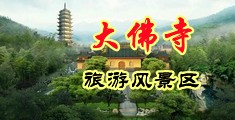 www、人与兽、c0m中国浙江-新昌大佛寺旅游风景区